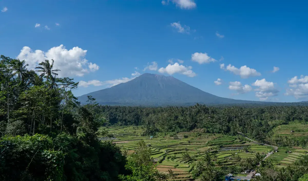 Reisterrassen mit Mount Agung unter blauem Himmel