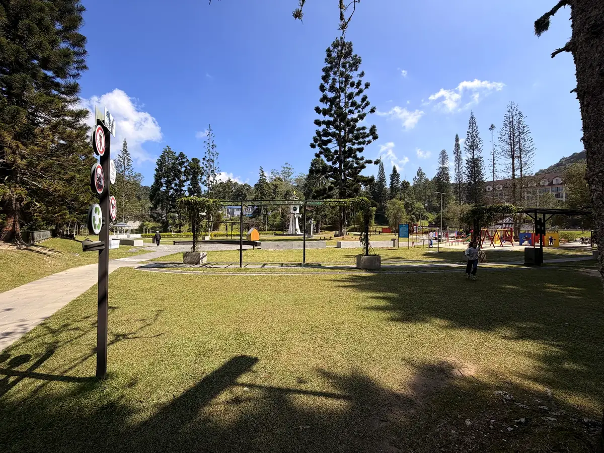 Park mit Araukarien und Spielplatz in Tanah Rata