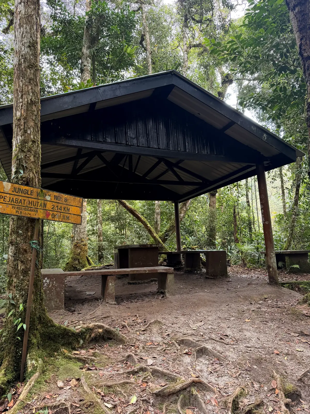 Rastplatz mit Unterstand mitten im Wald