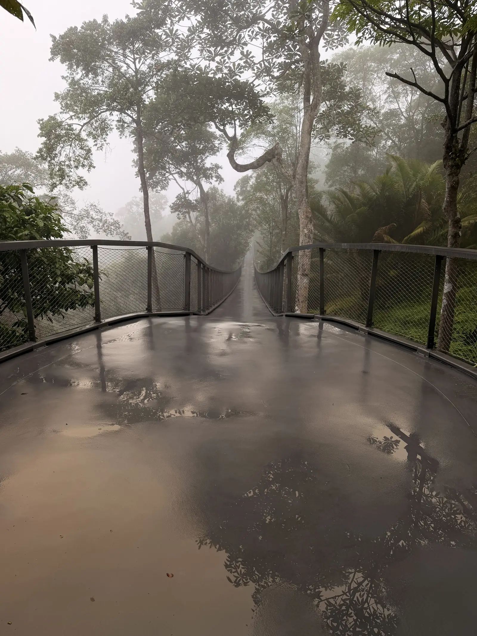 Aussichtsplattform im Nebel bei The Habitat