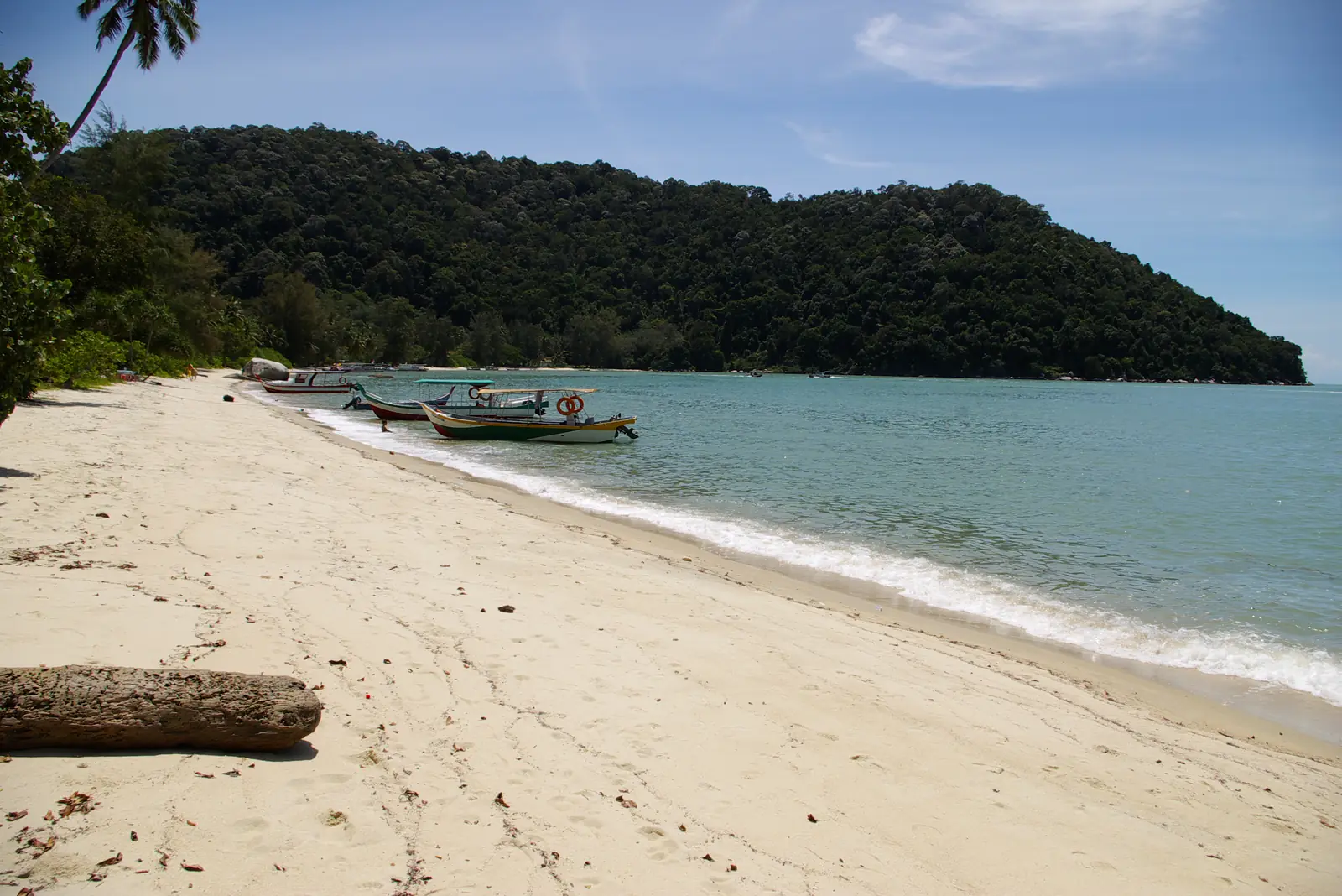 Sandstrand im Nationalpark Penang mit Wald