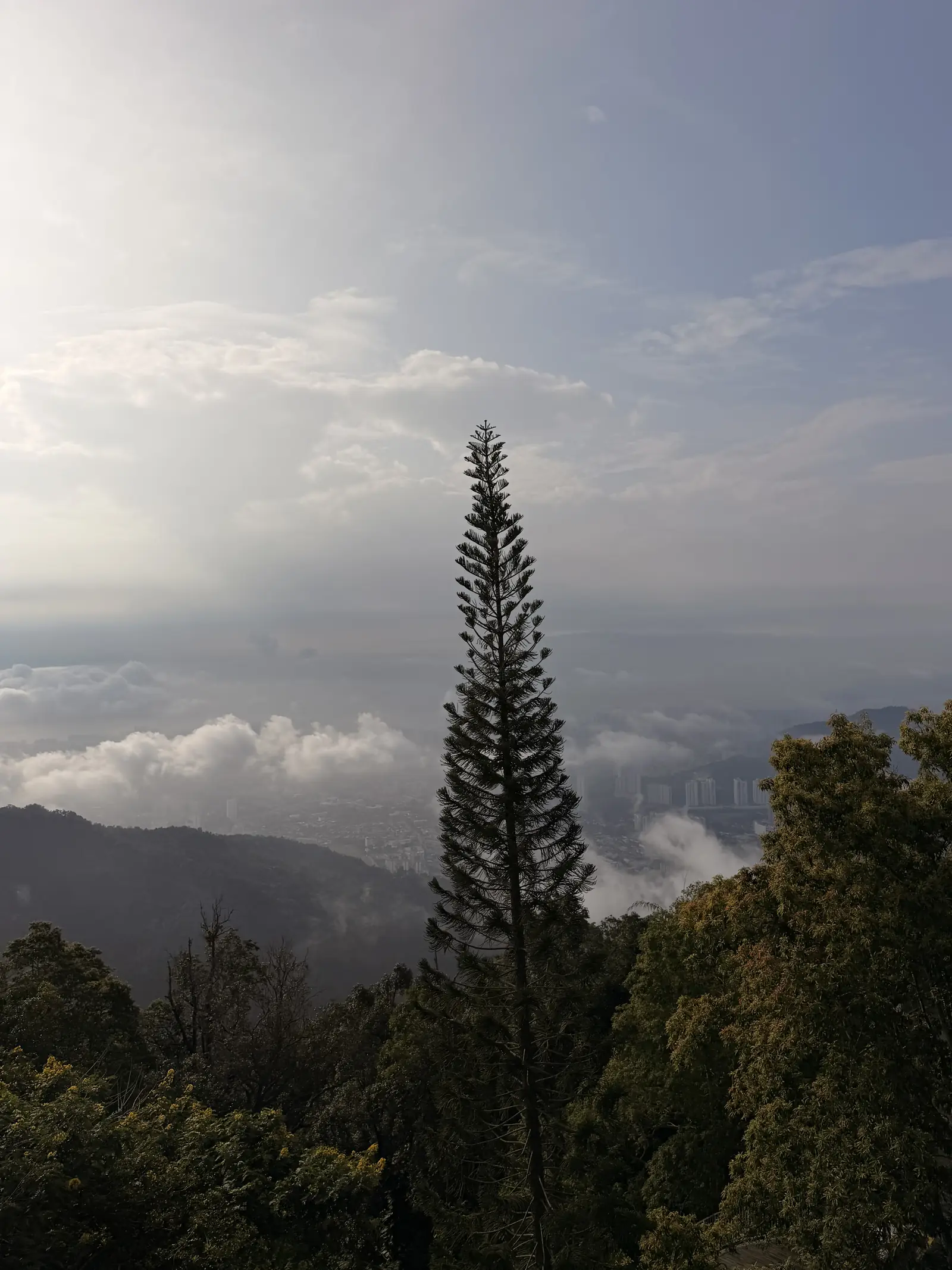 Aussicht vom Penang Hill über Wälder und Wolken