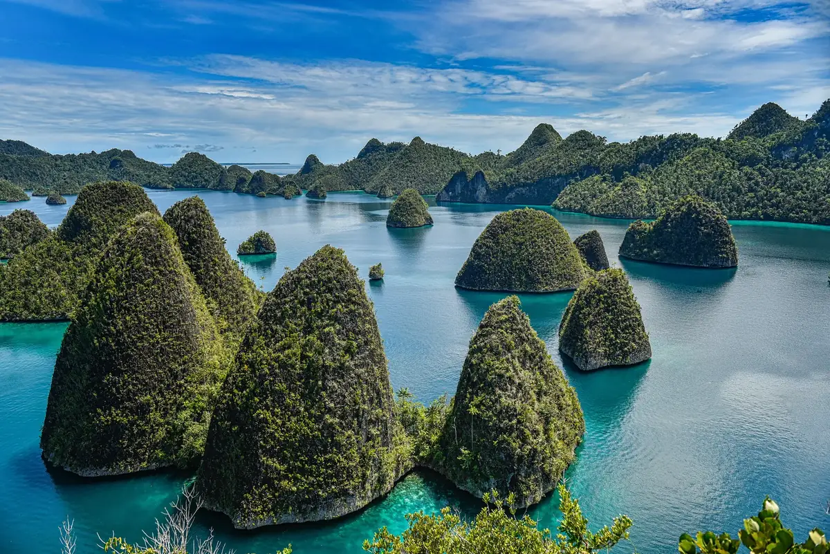 Grüne Karstkegel im türkisen Wasser von Wayag in Raja Ampat