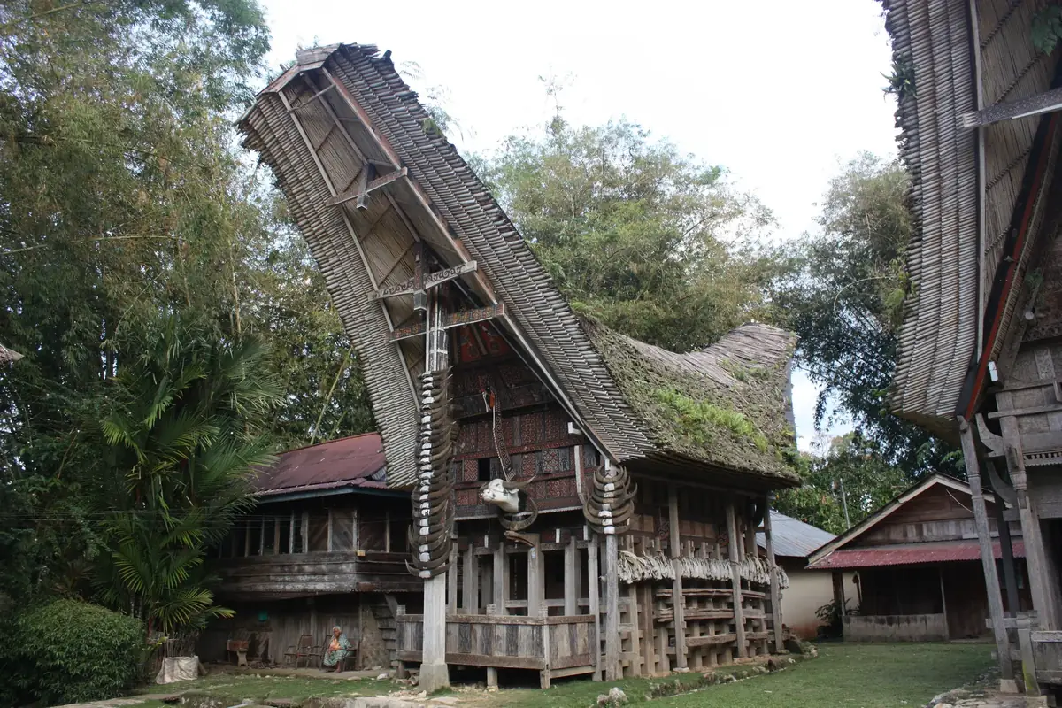 Traditionelle Tongkonan-Häuser mit geschwungenen Dächern in Tana Toraja