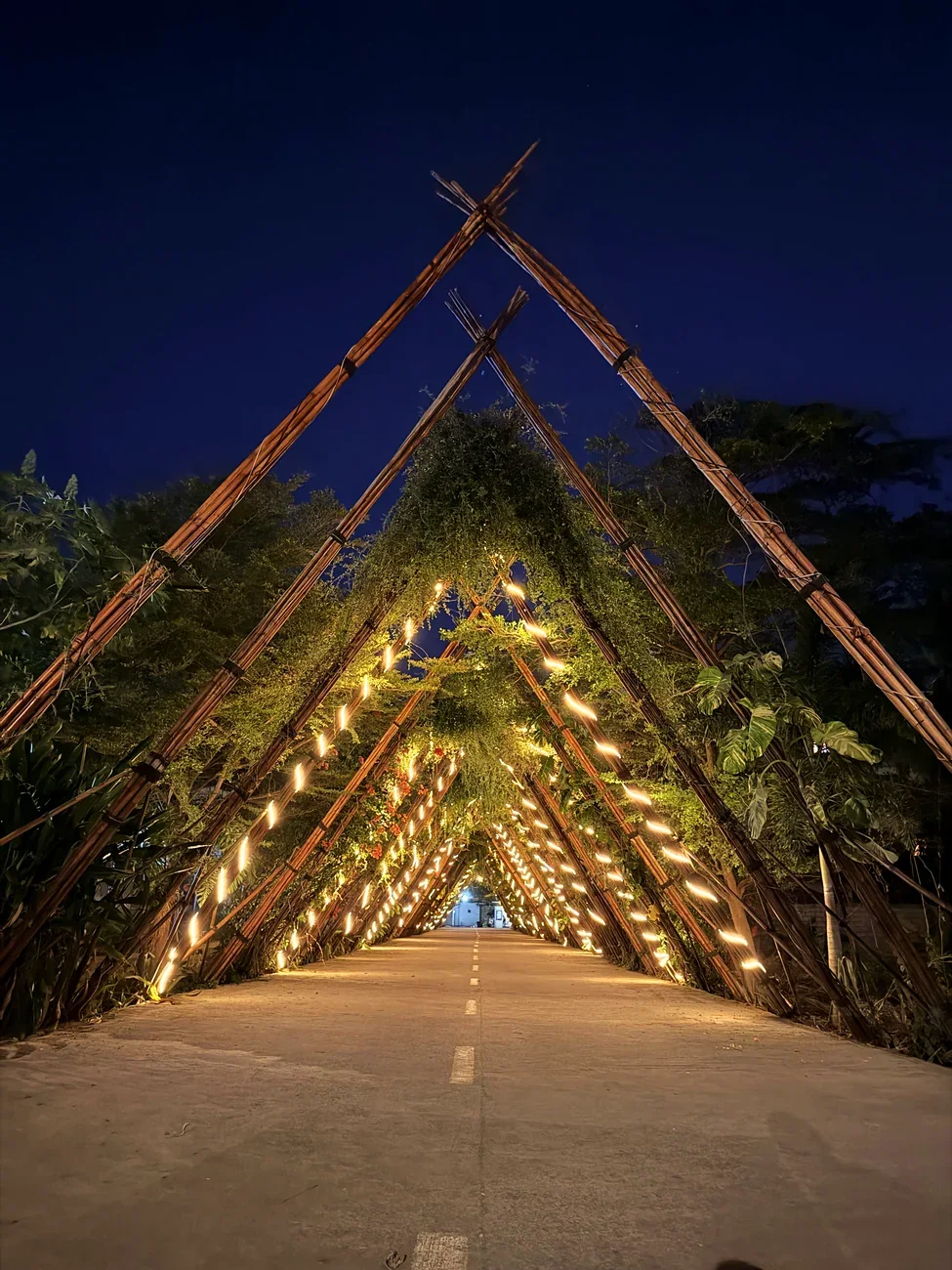 Beleuchteter Bambustunnel bei Nacht