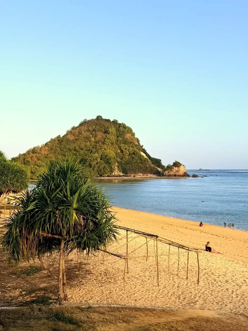 Strand mit Hügel und Pandanus-Palme