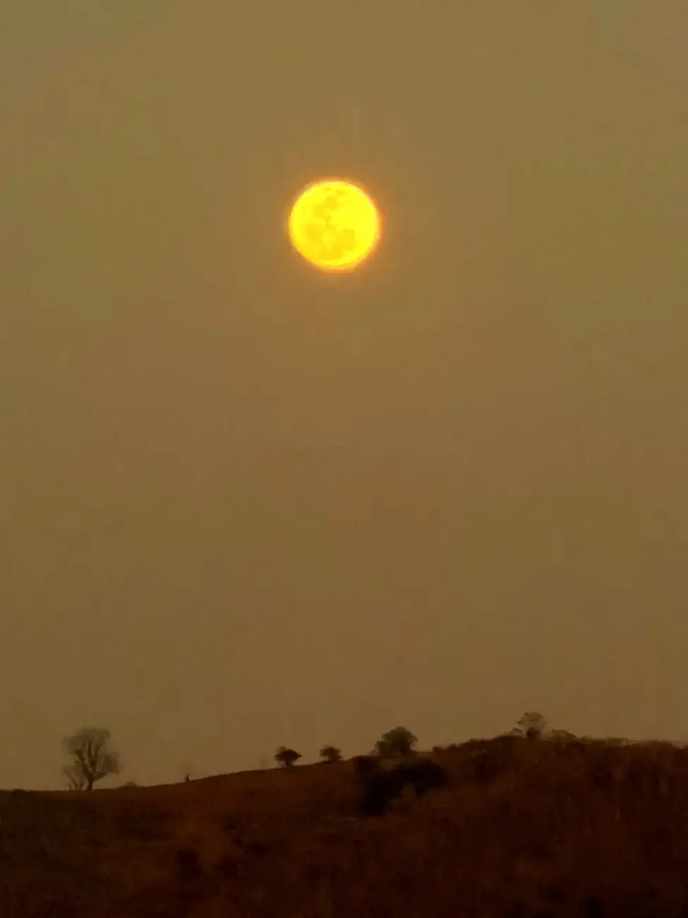 Oranger Vollmond am dunklen Himmel