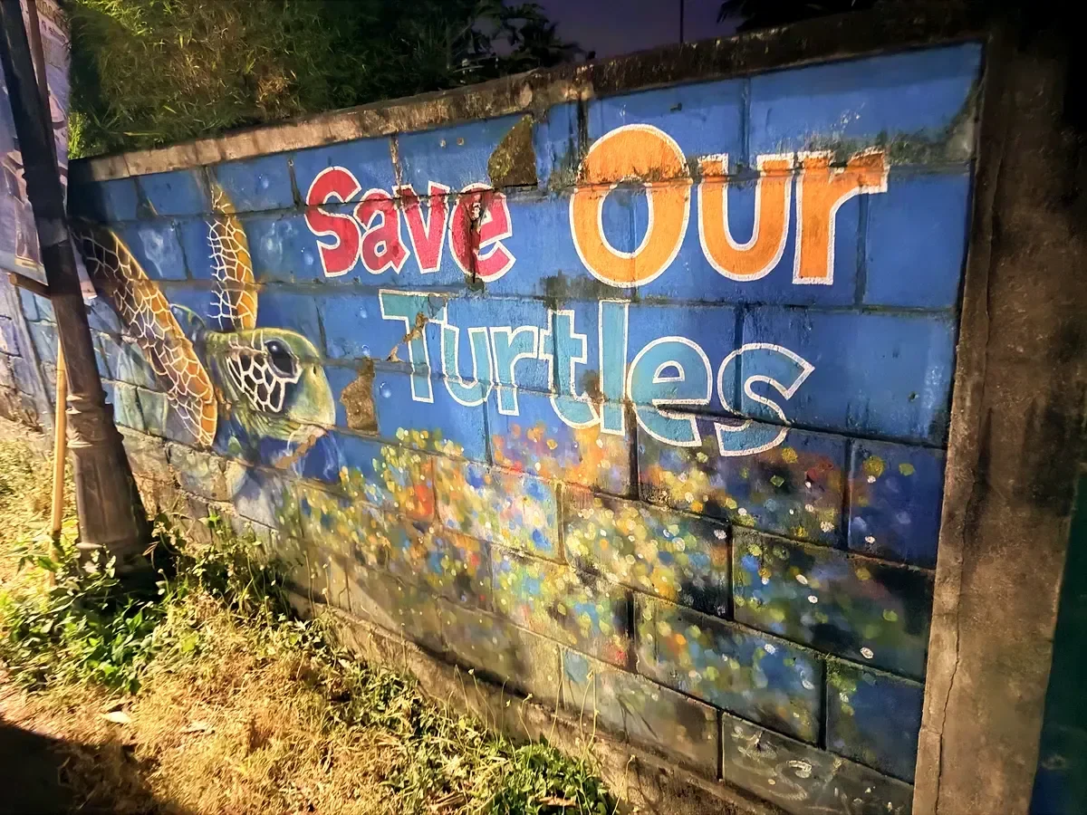Wandbild mit dem Spruch Save Our Turtles.