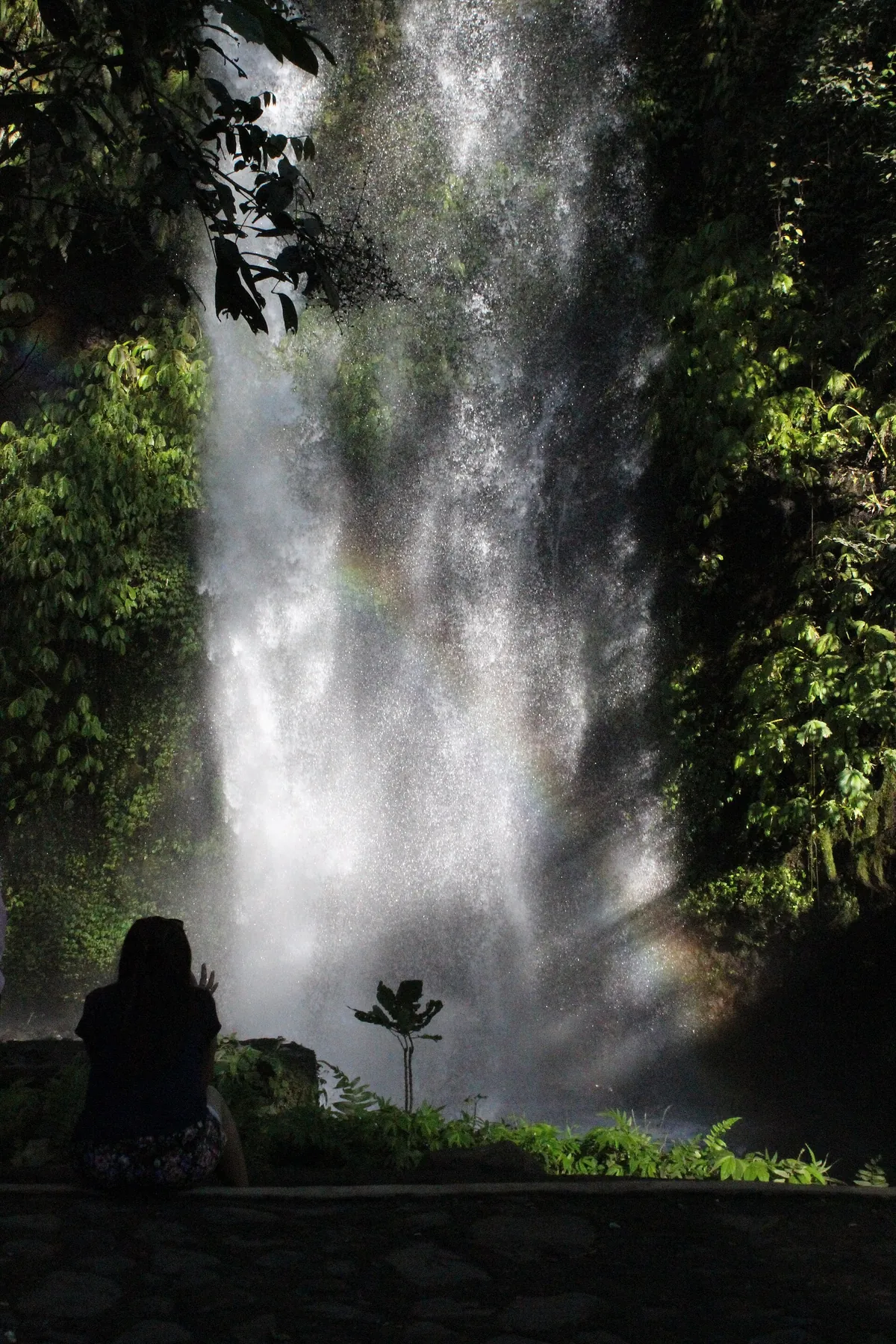 Wasserfall Sendang Gile im Wald bei Senaru