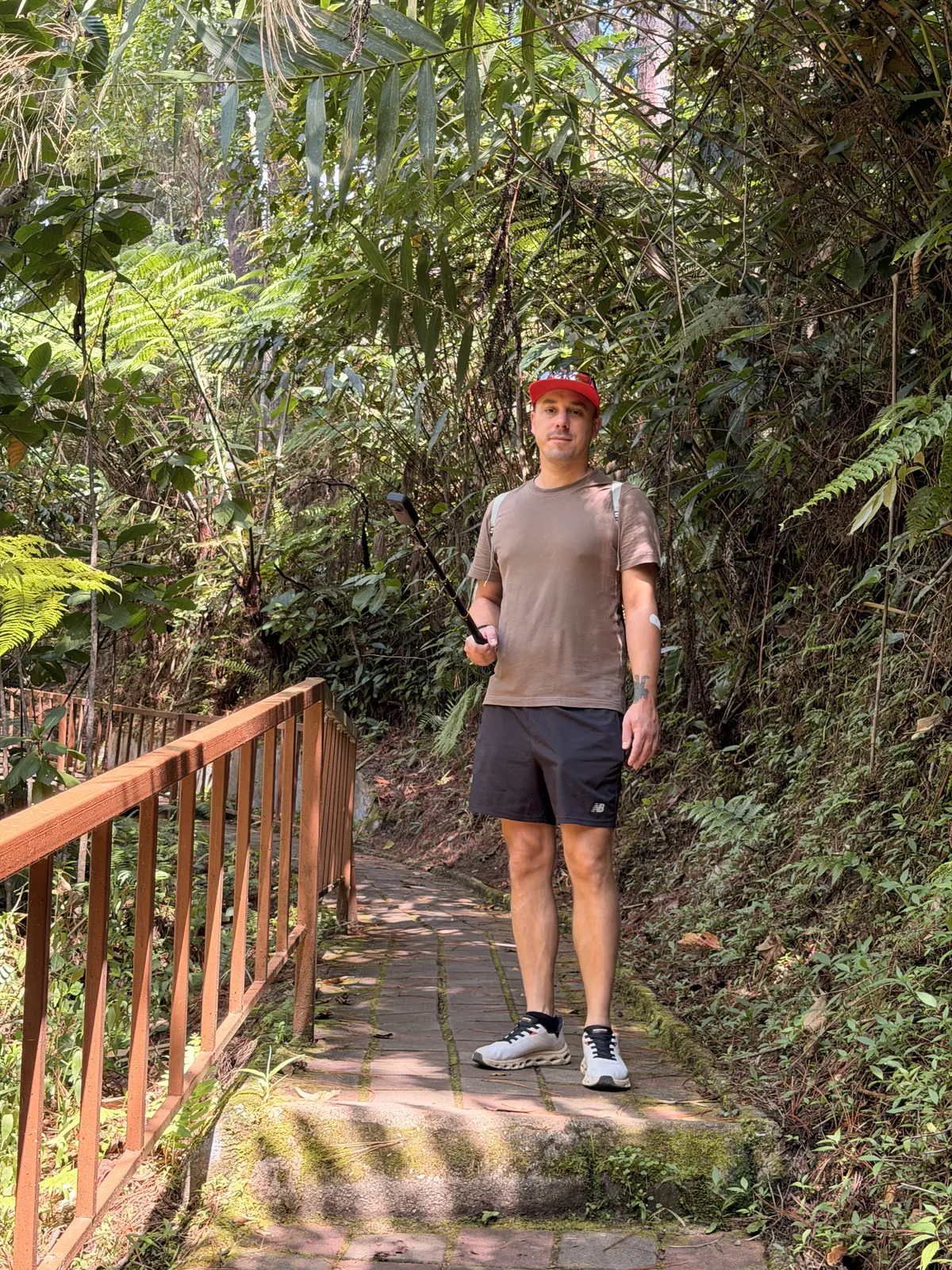 Marc auf einem Dschungelpfad in den Cameron Highlands
