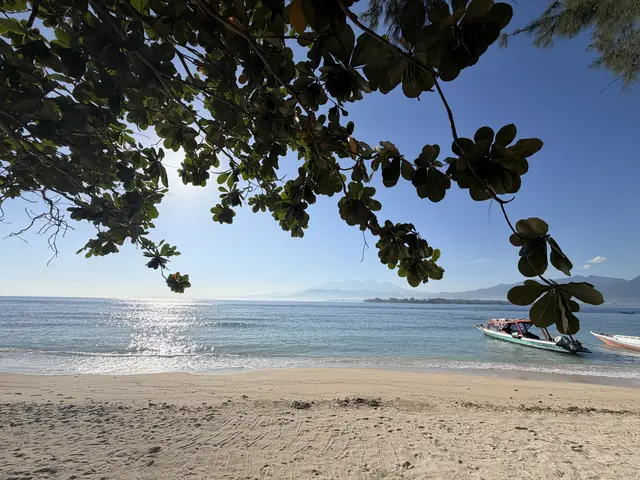 Strand auf Gili Air unter Bäumen