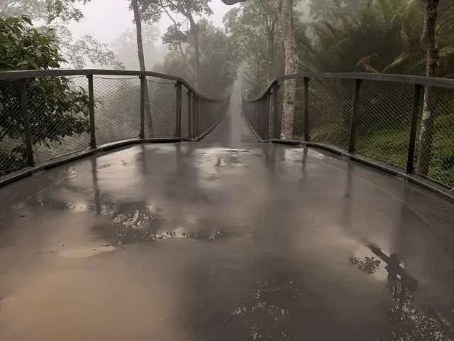 Nebel im Regenwald auf dem Penang Hill
